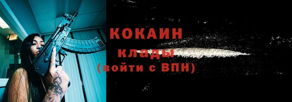 спайс Гусев
