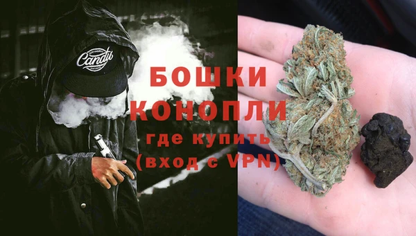 спайс Гусев