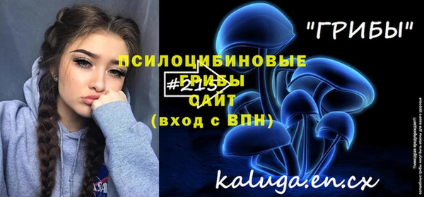 спайс Гусев