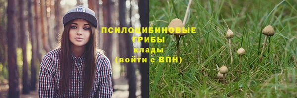 спайс Гусев