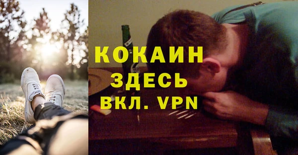 спайс Гусев